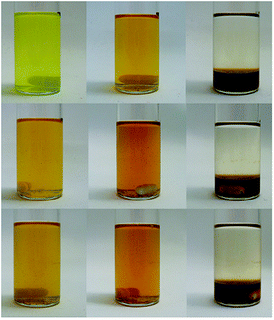 Hydroformylation of styrene using switchable water. (Left) All reagents mixed before reaction or CO2 treatment. (Centre) After completion of the hydroformylation reaction. (Right) After CO2 treatment for 45 min. From Top to Bottom: Cycles 1 to 3 using the same catalyst and aqueous phase.