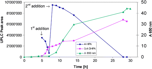Production of 3,4-DHPA (growth measured at 650 nm).