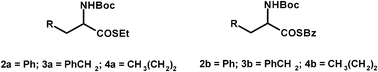 Group of substrates homogeneous for their racemization conditions.