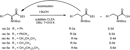 DKR in t-ButOH of aryl and aliphatic thioesters with the double catalysis: protease + base.