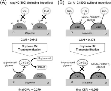 Possible surface environment of (A) slagHC(800) and (B) Ca–Al–Cl(800) catalysts before (above) and after (below) the soybean oil transesterification.