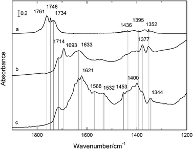 IR spectra at RT of (a) acetaldehyde in the gas phase; (b) acetaldehyde after 10 min adsorption on P25; (c) acetaldehyde after 10 min adsorption on PC500. Wavenumbers are summarized in Table 1.