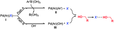 An equilibrium of Pd(Ar)(X) in Suzuki reaction.