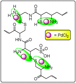 The possible structure of wool–Pd.