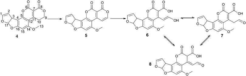 Products of enzyme-catalysed AFG1 breakdown. Atom numbering scheme used throughout is shown on 4.