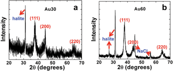 XRD analysis of the synthesized Au materials. Part (a) presents the diffraction pattern for the Au30 NPNs, while part (b) displays the diffraction pattern for the Au60 materials. The peaks are labelled with their appropriate reflections.