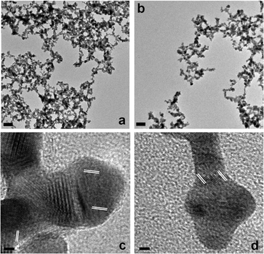 TEM analysis of the Au materials. Part (a) presents a low magnification image of the Au NPNs produced in the Au30 sample, while part (c) presents a high-resolution lattice-based image of the material. Parts (b and d) present the corresponding analysis for the Au60-based structures.