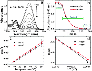 Kinetic analysis for the 4-nitrophenol reduction reaction catalyzed by the Au NPNs. Part (a) demonstrates the time-resolved UV-vis plot for the reduction reaction driven by the Au30 materials at 20.0 °C, while part (b) presents an analysis of the decreasing 400 nm reagent absorbance as a function of time for both the Au30 and Au60 materials. Part (c) displays the rate constants for both systems as a function of temperature, while part (d) presents the Arrhenius plots for the kinetic analysis of the Au NPNs where the slope of the trend line is used to determine the Ea values.