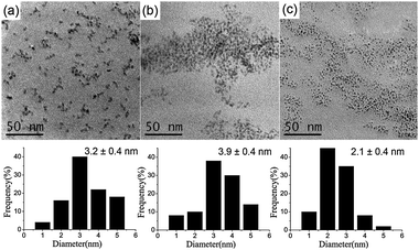 TEM images and size distributions of PdNPs after reaction: (a) PdNPs stabilized by HEC, (b) PdNPs stabilized by polyquaternium-10, (c) PdNPs stabilized by CMC.