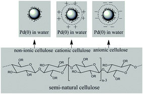 Schematic elucidation of PdNPs stabilized by the three types of semi-natural cellulose in water.