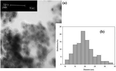 (a) TEM image of SPION-ACl2 and (b) SPION-ACl2 particle size distribution histogram.
