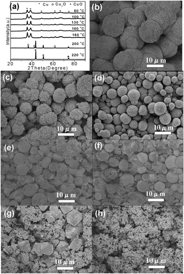 XRD patterns of the products obtained at different reaction temperatures (a), SEM images of products obtained at different reaction temperatures: (b) 80 °C (S14), (c) 100 °C (S15), (d) 130 °C (S6), (e) 160 °C (S16), (f) 180 °C (S17), (g) 200 °C (S18) and (h) 220 °C (S19).