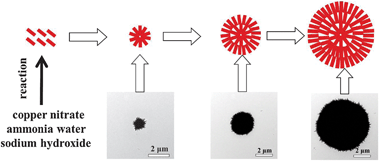 Possible formation process of obtained HD–CuO microspheres composed of nanoribbons.