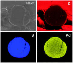 ESEM image (1 torr, 25 KeV, 800 magnifications) and EDS maps of an equatorial section of 50WX2-Pd0 catalyst bead (Li+, 50–100, 1% Pd, from H2 reduction). Top left: secondary electrons image; top right: carbon map (C Kα1); bottom left: sulfur map (S Kα1); bottom right: palladium map (Pd Lα1).