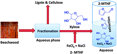 Conversion of xylose to furfural in aqueous-2-MTHF biphasic medium using iron catalyst starting from beech wood fractionation. (modified from Fig. 3 in ref. 53).