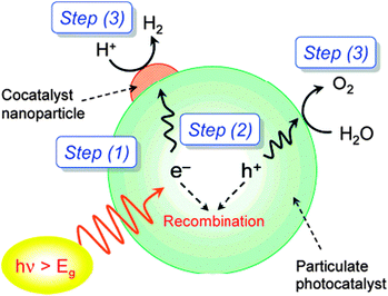 Processes involved in photocatalytic overall water splitting on a heterogeneous photocatalyst. Reprinted with permission from ref. 177. Copyright 2007, American Chemical Society.