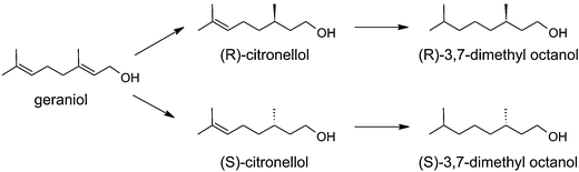 Reaction scheme for hydrogenation of geraniol.