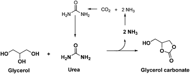 Reaction network for glycerol carbonate synthesis using urea as CO2 donor.