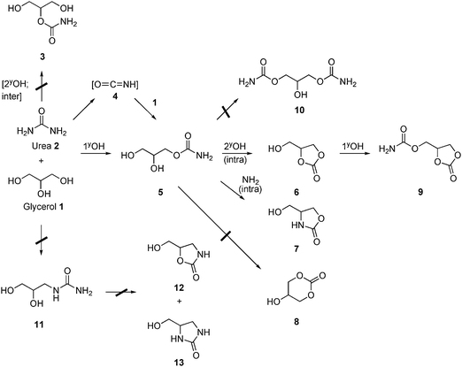 Reaction pathways for the reaction between glycerol and urea.