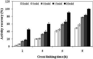 Effect of glutaraldehyde concentration and cross linking time on the activity recovery of invertase in CLEAs. The experiments were done in triplicate and the error bar represents the percentage error in each set of readings.