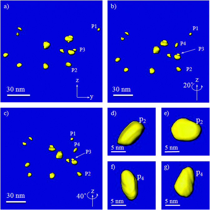 Segmentation of several particles in three different directions, (a) view parallel to the x direction, (b) rotated around z for 20°, (c) rotated around z for 40°, (d) and (e) showing the morphology of the particle 2, (P2), in two directions, and (f) and (g) showing the morphology of particle 4, (P4), in two directions.