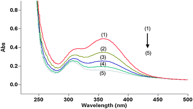 UV-vis spectroscopic changes occurring in the Os(viii) catalysed oxidation of xylitol by alkaline diperiodatoargentate(iii) at 298 K, [DPA] = 5.0 × 10−5, [XYL] = 5.0 × 10−4, [Os(viii)] = 8.0 × 10−6, [OH−] = 0.04 and I = 0.06 mol dm−3, with a scanning time of (1) 0.2 min, (2) 0.4 min, (3) 0.6 min, (4) 0.8 min and (5) 1.0 min.