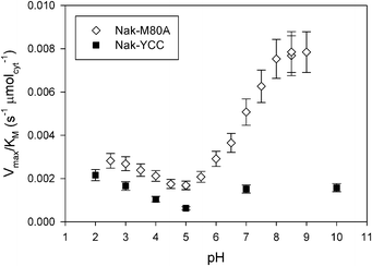 
          V
          max/KM ratio vs. pH for the solid catalysts Nak-M80A and Nak-YCC at 25 °C. Nak-YCC data are from ref. 12.
