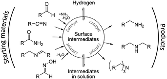 Common reaction network in amine syntheses via hydrogenation of unsaturated nitrogen precursors.