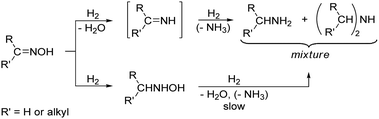 Conventional representation of the reaction pathways in oxime hydrogenation.