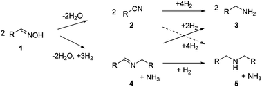 Reaction sequence observed for the hydrogenation of 2-ethyl-butyr-aldoxime.