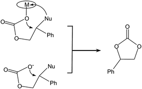 Possible back-biting reactions in the reaction of styrene oxide with CO2.