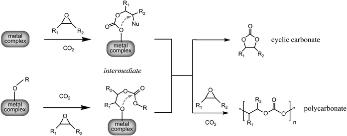 Possible intermediates of the reaction of epoxides with CO2, exemplified in the case of the reaction catalysed by a metal complex. Nu is a nucleophile that can originate from the metal complex or from a co-catalyst. RO- is an alkoxide or an aryloxide that can act as a nucleophile. The dotted arrows indicate the possible back-biting reactions that would lead to the formation of cyclic carbonate.