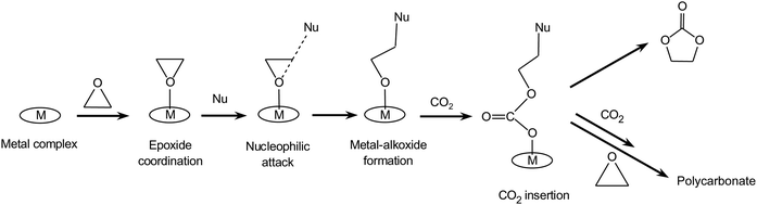 Reaction of CO2 with epoxides: monometallic pathway involving one nucleophile. The nucleophile (Nu) may originate from the metal complex or from a co-catalyst.