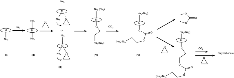 Reaction of CO2 with epoxides: monometallic pathway involving two nucleophiles. Note that Nua and Nub may be the same or different type of nucleophile.