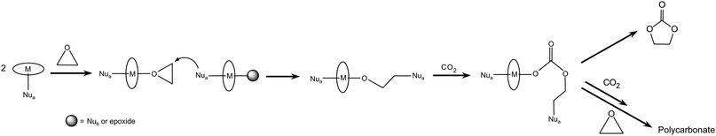 Reaction of CO2 with epoxides: bimetallic pathway involving two monometallic complexes.