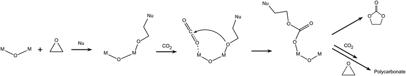 Reaction of CO2 with epoxides: bimetallic pathway with simultaneous activation of epoxide and CO2 on a complex with two adjacent metal centres.