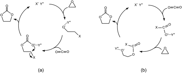 Reaction of CO2 with epoxides: non-metallic pathways with epoxide activation as the first step (a) or with CO2 activation as the first step (b).