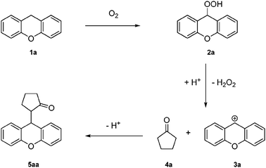 Possible mechanism for the oxidative coupling of xanthene with cyclopentanone.