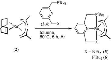 Protocol for the in situ formed precatalysts 5 and 6.