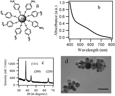 (a) Schematic presentation of 4-aminothiophenol-coated Au-NPs (catalyst A). (b) UV-visible spectra of the Au-NPs formed using 4-aminothiophenol as both the reducing and stabilizing agent in a DMF–water mixture. (c) XRD pattern of the Au-NPs. The corresponding lattice planes are marked. (d) TEM images of the Au-NPs in a DMF–water mixture, scale bar 20 nm.