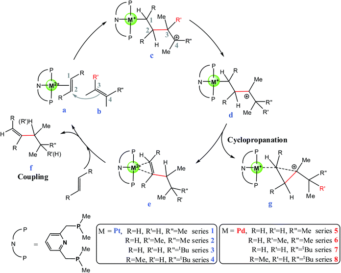 Mechanistic insights on platinum- and palladium -pincer catalyzed coupling  and cyclopropanation reactions between olefins - Dalton Transactions (RSC  Publishing) DOI:10.1039/C2DT12325H