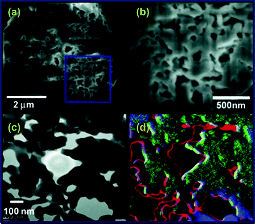 
            SEM images obtained from a focused ion beam cut of LiFePO4 at low (a) and high (b) magnification. Cross-sectional TEM image of LiFePO4 (c) and the corresponding EELS image (d) (where red: C, blue: Fe, and green: P). Reprinted from ref. 104 with permission. Copyright 2010 Wiley.