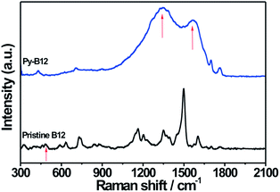 
          Raman spectra of py-B12 and pristine B12.