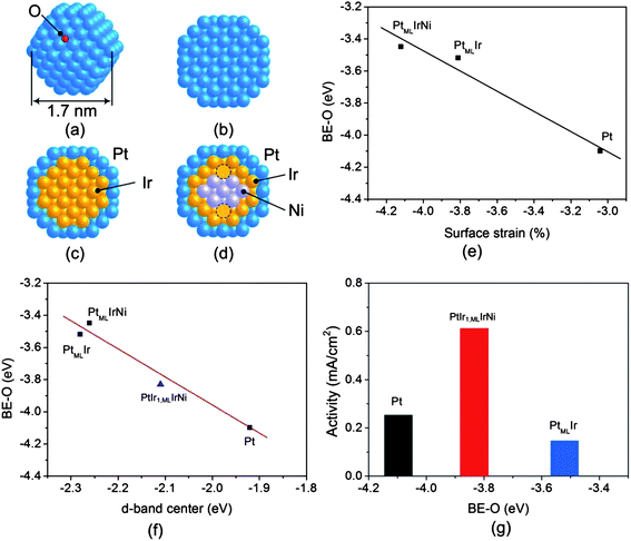 (a) A schematic of a sphere-like nanoparticle considered in DFT calculations representing adsorption of atomic oxygen at the fcc site. Cross sectional views of nanoparticle models of (b) Pt, (c) PtMLIr, and (d) PtMLIrNi with 1.7 nm. The dotted circles represent Ir in sub-core. (e) The DFT calculated binding energy of oxygen (BE–O) as a function of strain on PtMLIrNi, PtMLIr and Pt using the nanoparticle models. (f) The DFT calculated binding energy of oxygen (BE–O) as a function of the average d-band center of metals interacting with O on PtIr1,MLIrNi, PtMLIrNi, PtMLIr, and Pt. (g) The Pt specific activity against BE–O on PtIr1,MLIrNi, PtMLIr and Pt. “ML” is the monolayer.