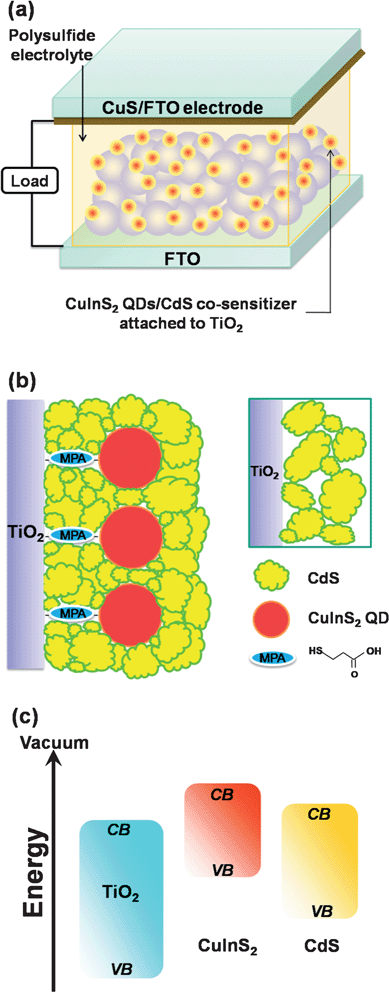 (a) Schematic illustration of the quantum dot-sensitized solar cell, which consists of a TiO2 nanocrystalline film sensitized with CuInS2-QDs/CdS as the photoanode, a CuS film, deposited on a SnO2:F coated glass (FTO) substrate, as the counter electrode, and a polysulfide electrolyte. (b) A conceptual schematic of the CuInS2-QDs/CdS heterostructure on the TiO2 surface. The inset illustrates the particle-packing network of a CdS film without the CuInS2 QD pillars. Note that coating ZnS to finalize the SILAR deposition is important for passivating the light-absorbing CuInS2-QDs/CdS sensitizers. (c) A schematic showing the relative band energy levels for charge transfer in the TiO2/CuInS2-QDs/CdS/ZnS electrode. ZnS is included because the function of ZnS coating is to passivate the sensitizers.