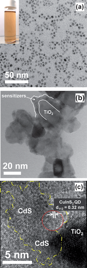 (a) TEM image of the as-prepared CuInS2 QDs grown at 110 °C for 1 h. Inset shows the oleylamine-capped CuInS2-QDs–hexane dispersion, with an orange color. (b) TEM image of TiO2 nanocrystals sensitized with CuInS2-QDs/CdS. (c) HRTEM image of TiO2/CuInS2-QDs/CdS composite. The CuInS2 QDs and CdS sensitizers are encompassed by red and yellow lines, respectively.