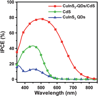 IPCE spectra of QDSSCs assembled with the 4-cycle SISCR CuS counter electrode and various photoanodes including the electrodes sensitized with CuInS2-QDs, CdS, and CuInS2-QDs/CdS, all coated with a final ZnS layer, measured as a function of incident light wavelength.