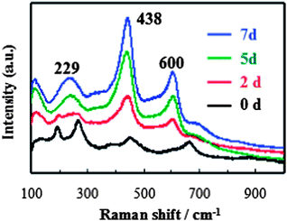 
          Raman spectra of the samples collected at different reaction times.