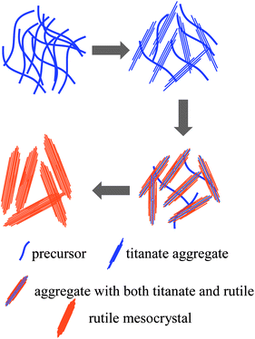 Schematic of a tentative mechanism for the formation of rutile TiO2 mesocrystals.