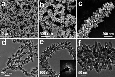 (a–c) FESEM images and (d) TEM images of CNT@FeOOH hierarchical structures; (e and f) TEM images showing the high density of β-FeOOH nanospindles on the CNT backbone.